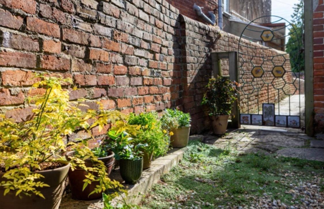 Bridport Garden Suite Екстериор снимка